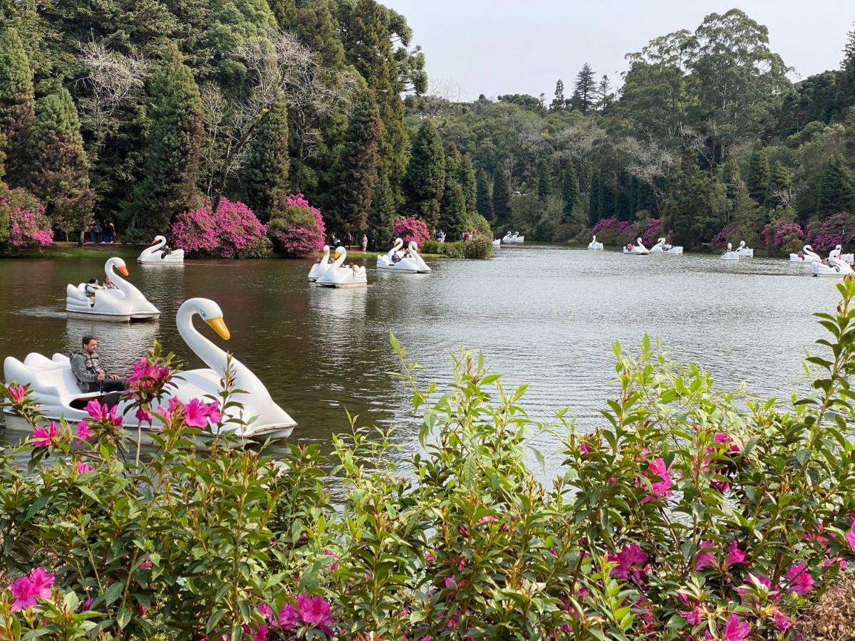 2 Suite, 1 Dormitorio Em Meio A Mata Araucaria A 1,5 Km Centro, Altos De Gramado Exteriör bild