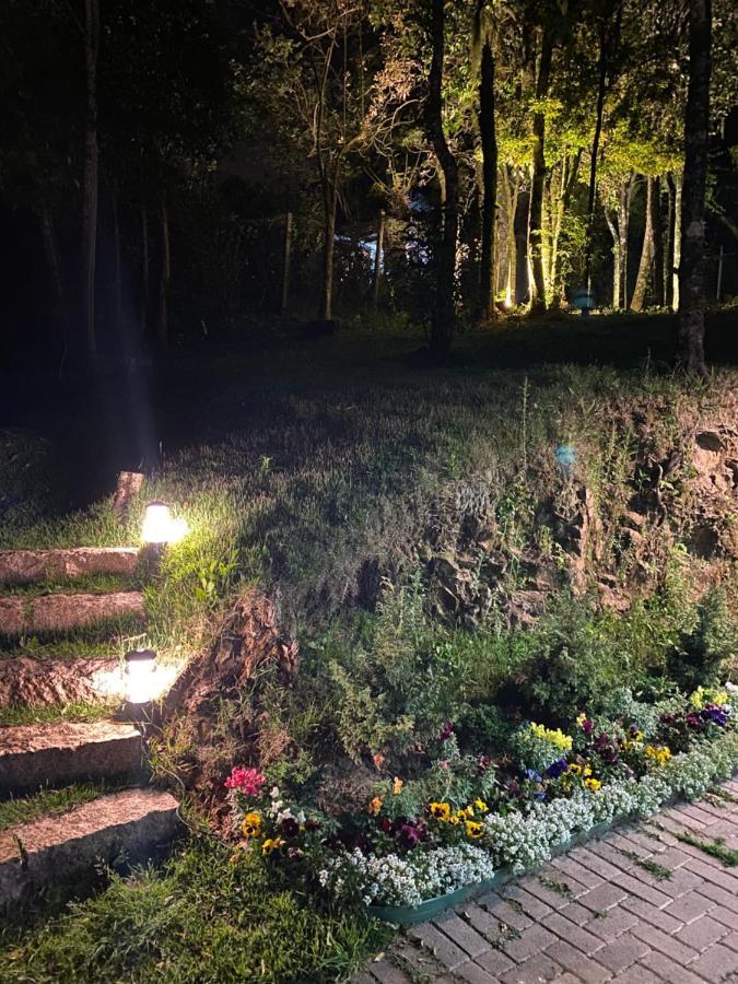 2 Suite, 1 Dormitorio Em Meio A Mata Araucaria A 1,5 Km Centro, Altos De Gramado Exteriör bild