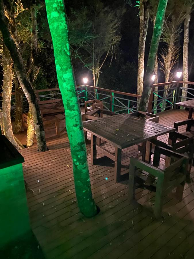 2 Suite, 1 Dormitorio Em Meio A Mata Araucaria A 1,5 Km Centro, Altos De Gramado Exteriör bild