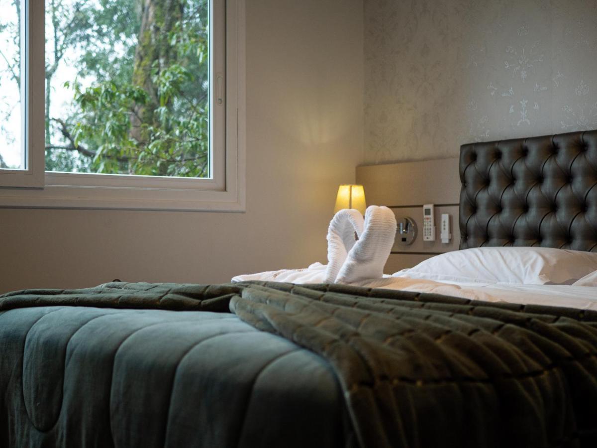 2 Suite, 1 Dormitorio Em Meio A Mata Araucaria A 1,5 Km Centro, Altos De Gramado Exteriör bild